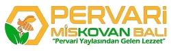 PERVARİ Mis Kovan Balı